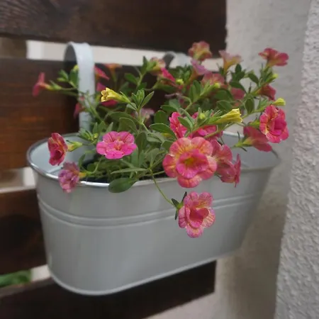 Daroom In The Heart Of Appartamento