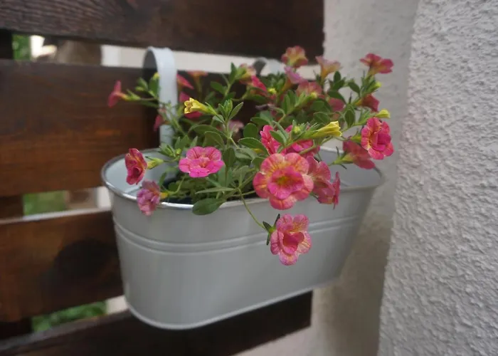 Daroom In The Heart Of Apartment